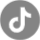 tiktok-circular-icon